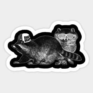 Raccoons: Nature's Teenagers Sticker